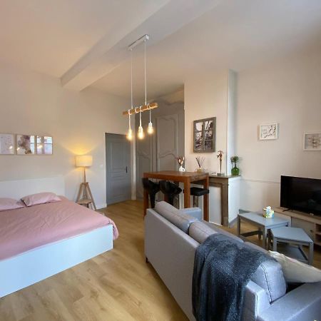 Studio Papillon En Plein Coeur De Ville Saint-Omer  Luaran gambar