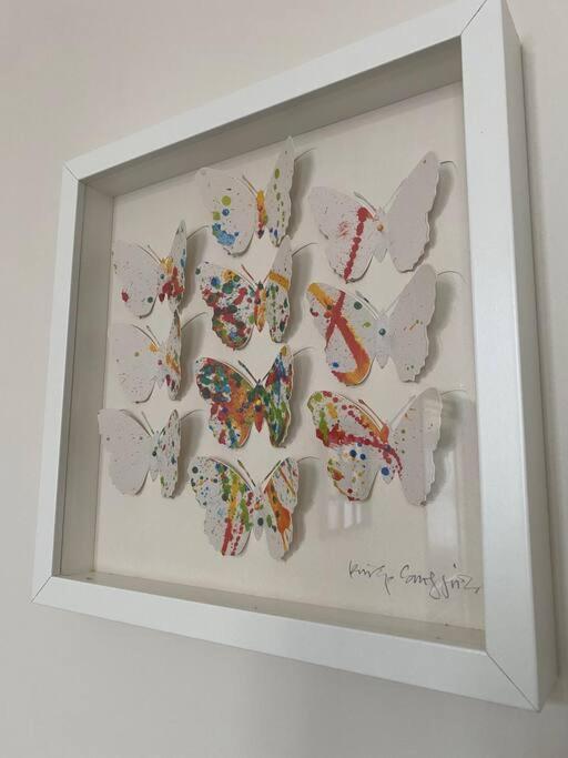 Studio Papillon En Plein Coeur De Ville Saint-Omer  Luaran gambar
